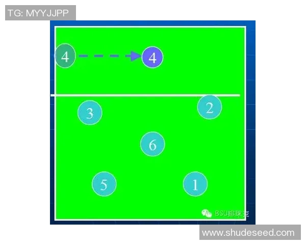 南京排球队战术对比深度解析与未来发展趋势探讨