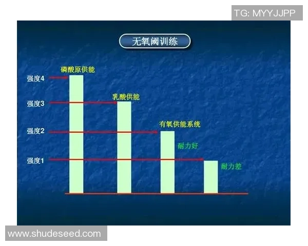 成都羽毛球队挑战赛精彩点评技术表现与战术分析全解析