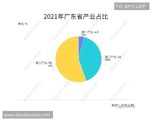 足球明星破产率揭秘为何高达数十个百分点的背后原因分析