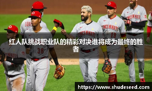 红人队挑战职业队的精彩对决谁将成为最终的胜者
