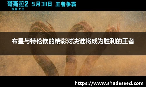 布星与特伦钦的精彩对决谁将成为胜利的王者