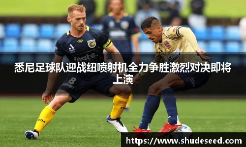 悉尼足球队迎战纽喷射机全力争胜激烈对决即将上演