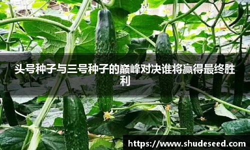 意昂体育
