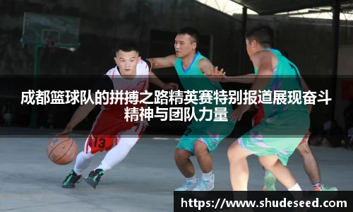 成都篮球队的拼搏之路精英赛特别报道展现奋斗精神与团队力量